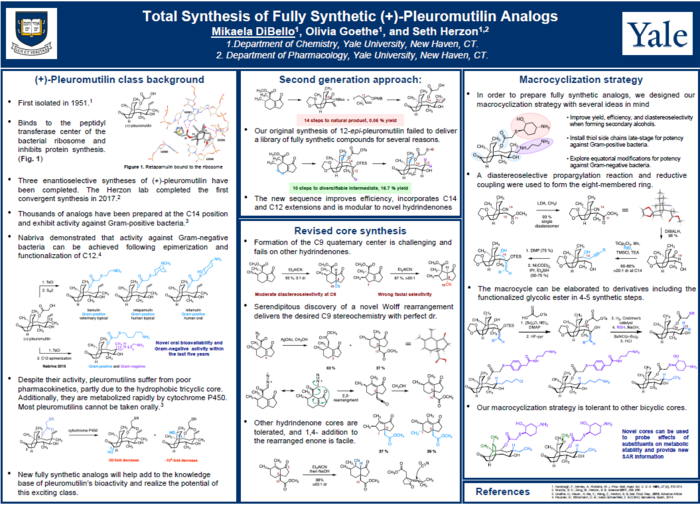 symposium presentation examples